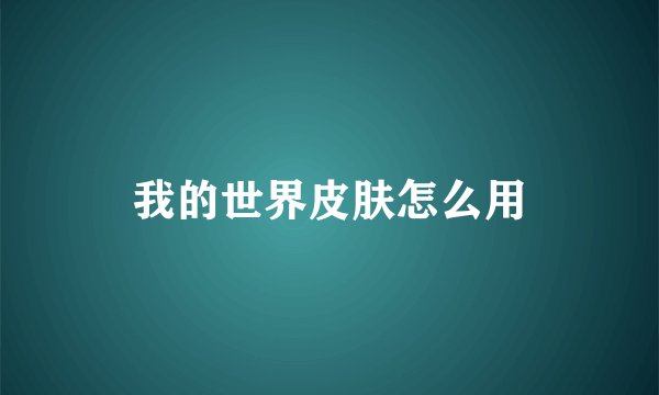 我的世界皮肤怎么用