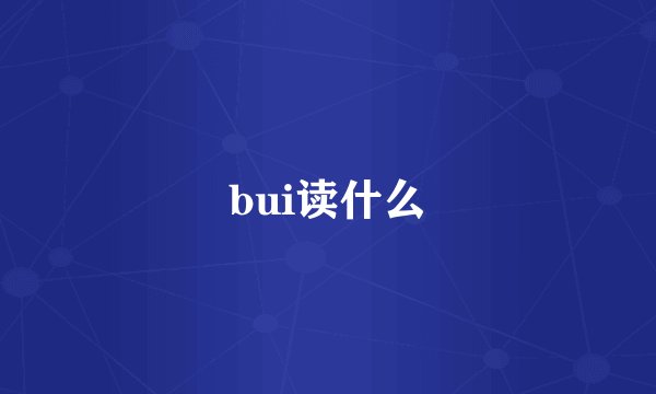 bui读什么