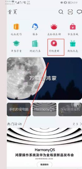 华为p40支持鸿蒙系统吗