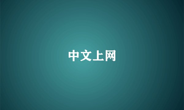 中文上网