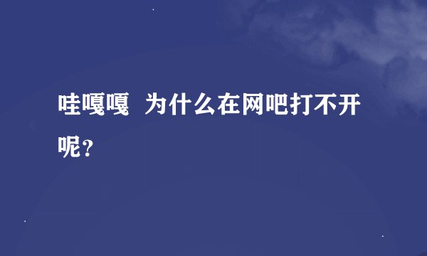 哇嘎嘎  为什么在网吧打不开呢？