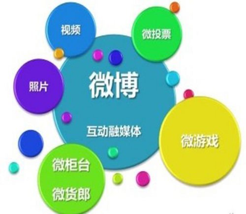 我不是明星第三季的节目流程