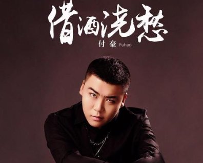 我只能继续继续喝我的酒是什么歌