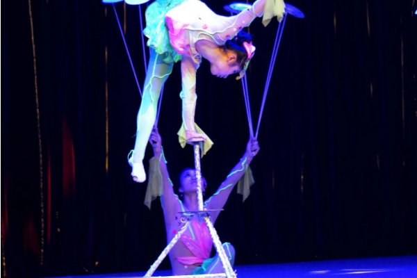 技的拼音和部首