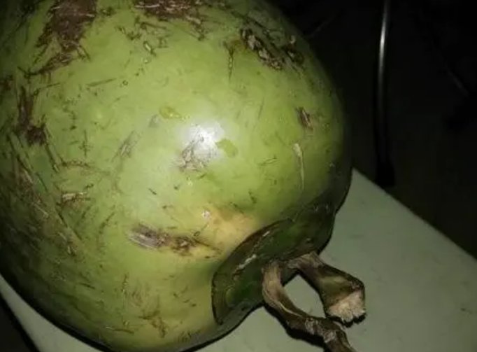 杨超越用口香糖开椰子，这到底是什么原理？