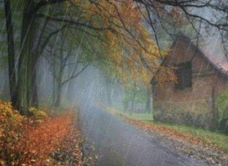 秋天的雨是什么造句子。