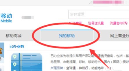 在手机上可以查移动话费清单吗？
