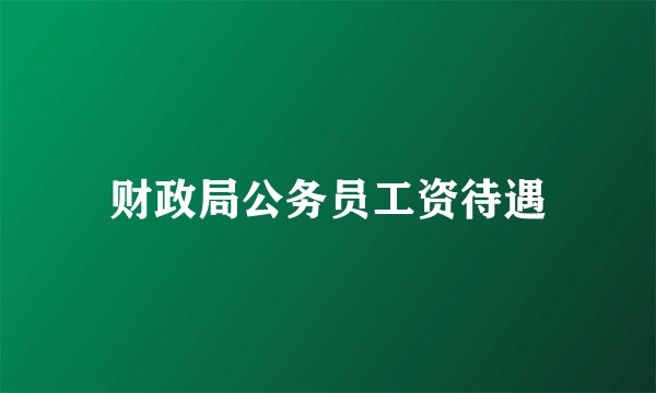 财政局公务员工资待遇