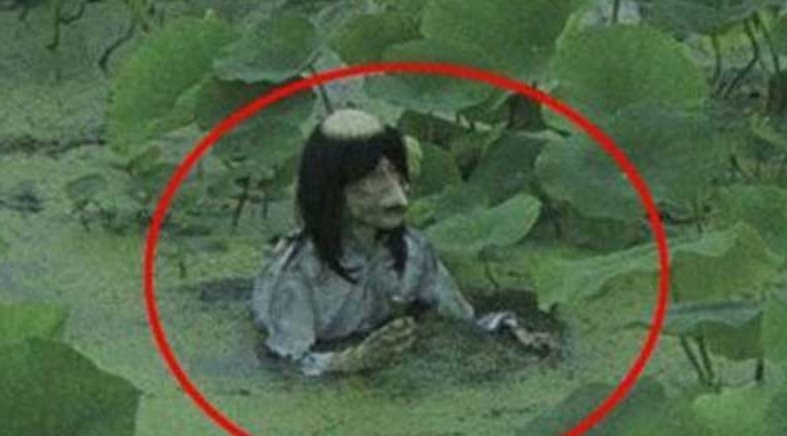 水猴子是树懒吗，水猴子为什么要拉人下水？