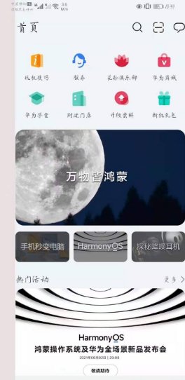 华为p40支持鸿蒙系统吗