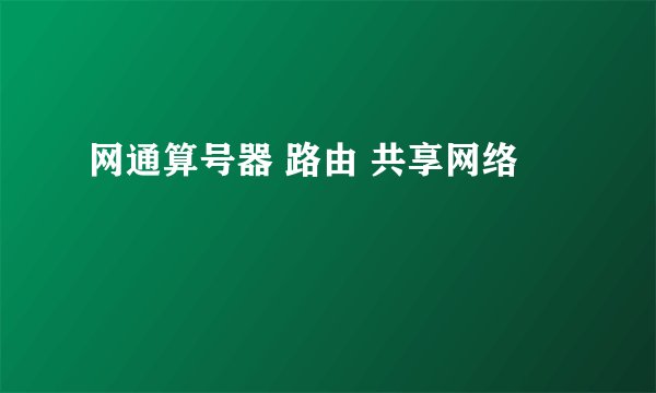 网通算号器 路由 共享网络