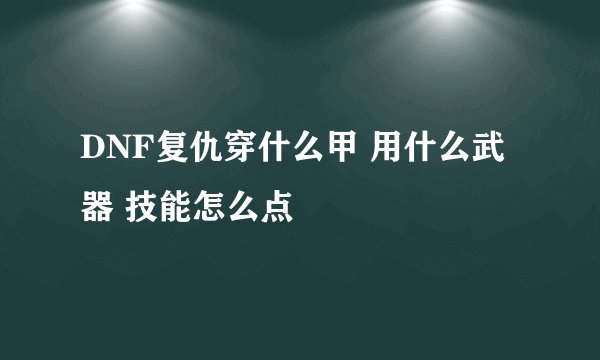 DNF复仇穿什么甲 用什么武器 技能怎么点