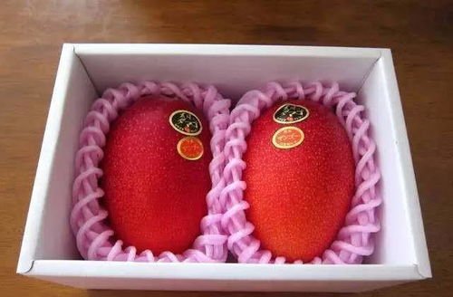 两颗芒果卖出1.2万元，天价芒果现象为什么仍有人愿意买单？