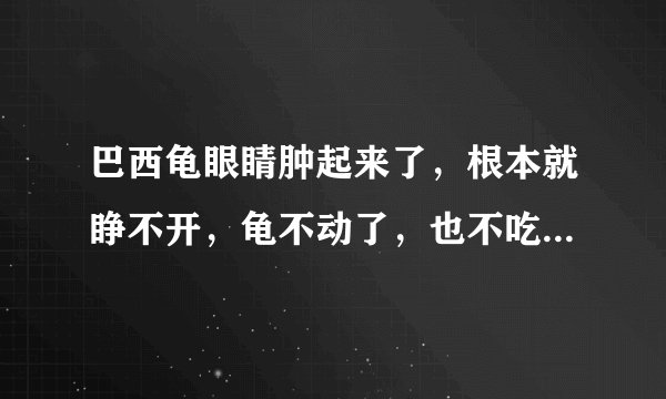 巴西龟眼睛肿起来了，根本就睁不开，龟不动了，也不吃东西，但是还活着，这是怎么了，要怎么治啊？