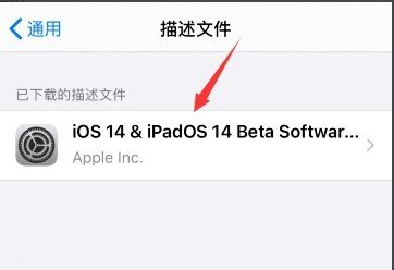 怎么升级到ios14。