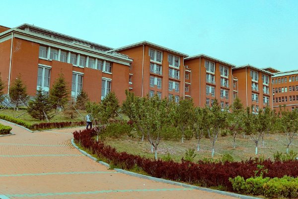 大连艺术学院2023合格分数线