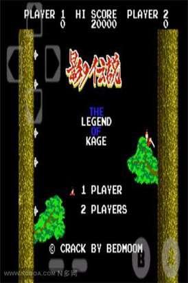 影子传说无敌版的基本信息