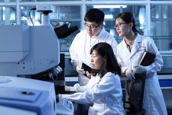 陕西科技大学王牌专业排名