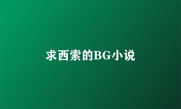 求西索的BG小说
