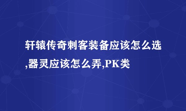 轩辕传奇刺客装备应该怎么选,器灵应该怎么弄,PK类