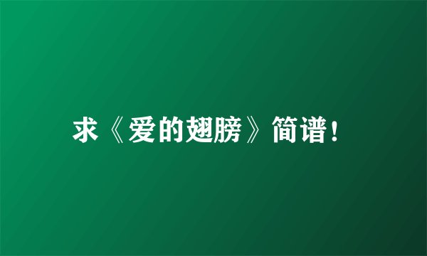 求《爱的翅膀》简谱！