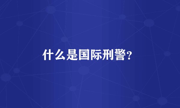 什么是国际刑警？