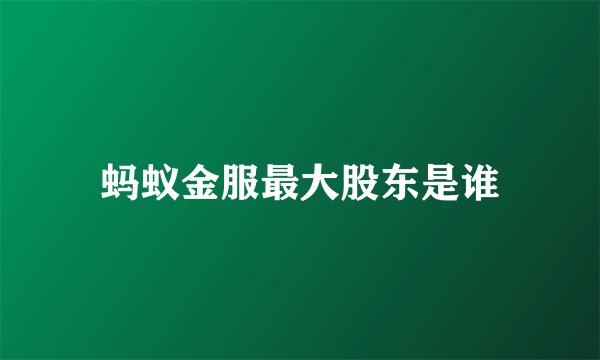 蚂蚁金服最大股东是谁