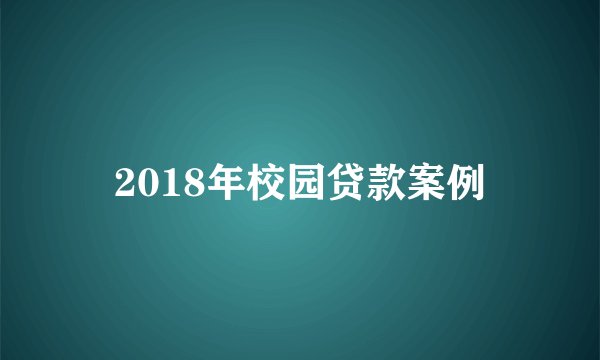 2018年校园贷款案例