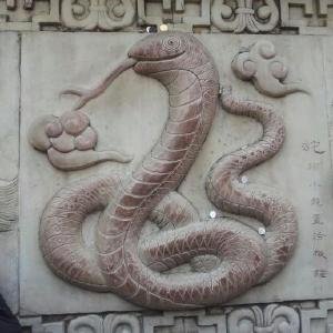 袁瑞娟的人物简介