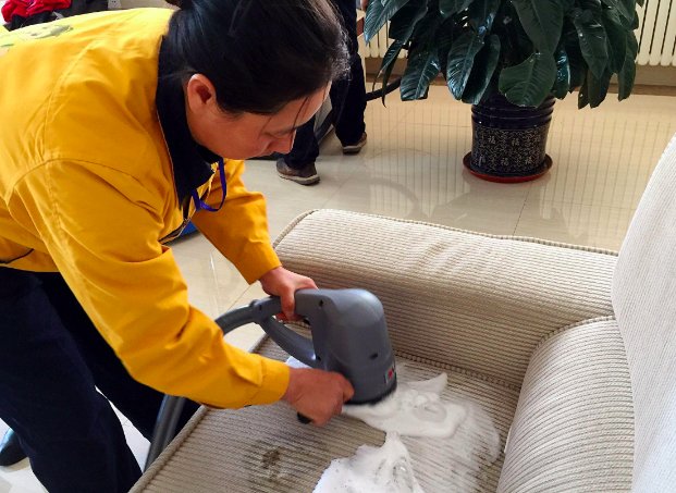 上海设家政本科专业的原因是什么？