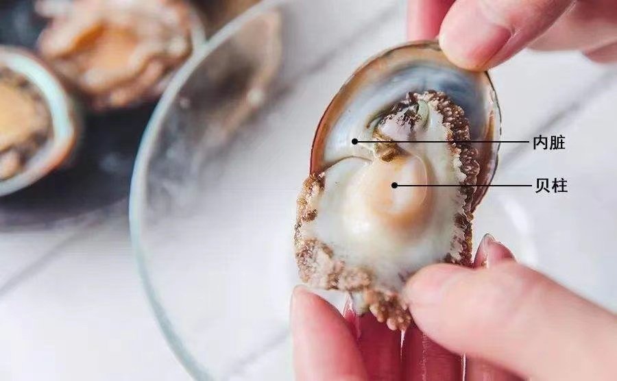 从新鲜到陈鲜，为什么说鲍鱼有海味至尊的地位？