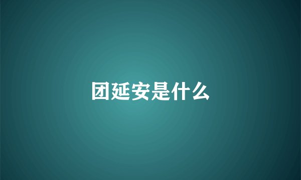团延安是什么
