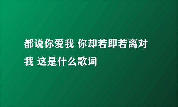 都说你爱我 你却若即若离对我 这是什么歌词