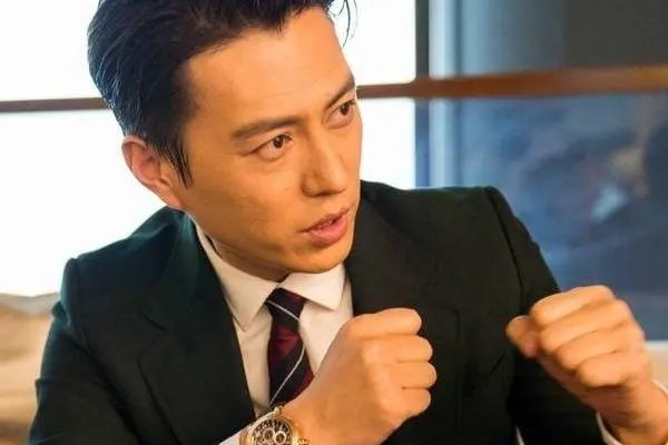 靳东和小宋佳演的电视剧