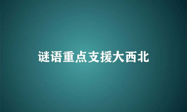 谜语重点支援大西北