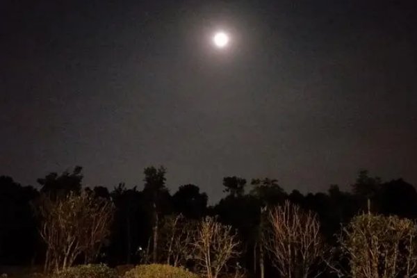 醉花间的古诗冯延巳