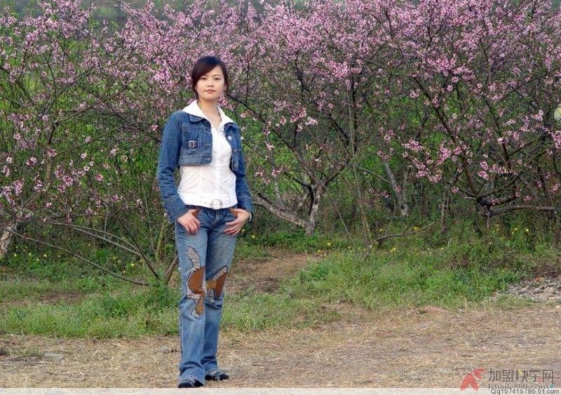 菊花香香的网友评述