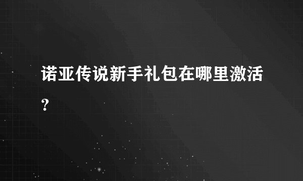 诺亚传说新手礼包在哪里激活？