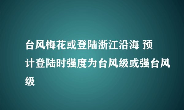 台风梅花或登陆浙江沿海 预计登陆时强度为台风级或强台风级