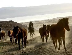 你能说出舞蹈《马踏飞燕》的出处吗？