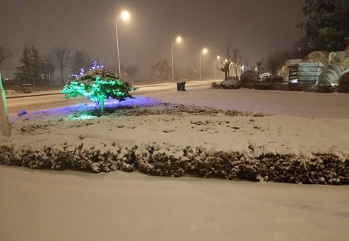 内蒙古暴雪，天空现“雷打雪”奇观，这种奇观是如何形成的？