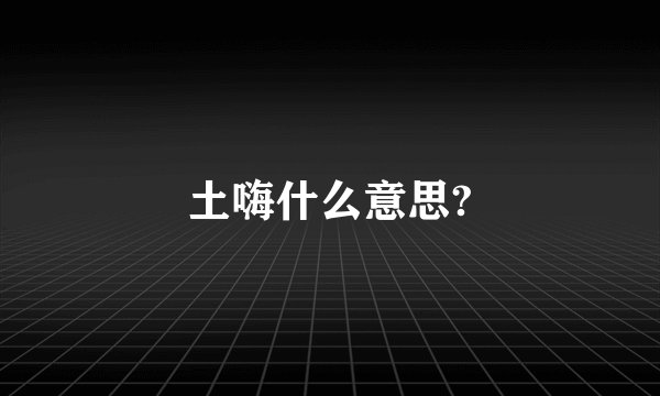 土嗨什么意思?