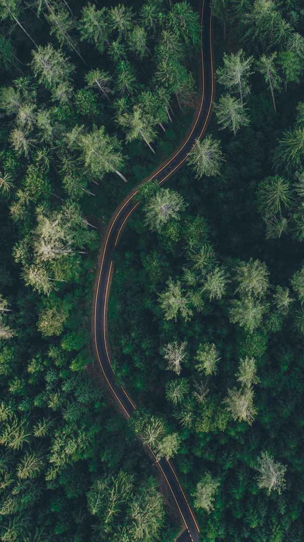 躲春是什么意思？要躲几天？