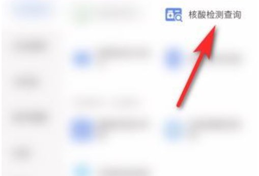 怎么在手机上查看核酸检测的报告？