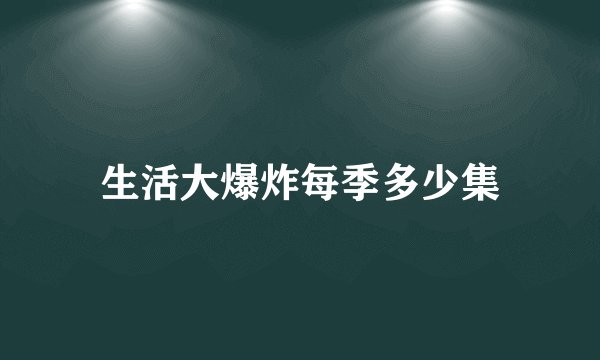 生活大爆炸每季多少集