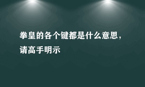 拳皇的各个键都是什么意思，请高手明示