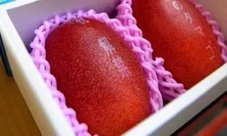 两颗芒果卖出1.2万元，天价芒果现象为什么仍有人愿意买单？