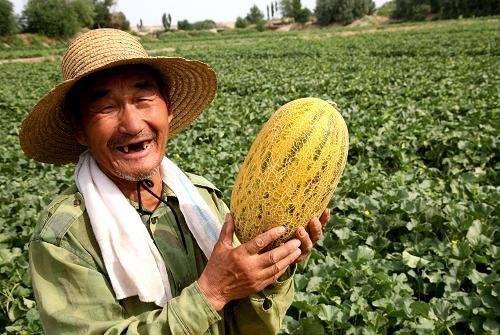 湖北市民40分钟买完河南瓜农3千斤瓜，此举的原因是什么？