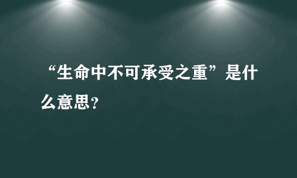 “生命中不可承受之重”是什么意思？