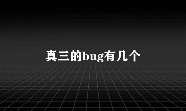 真三的bug有几个
